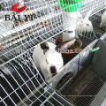 Fabrik-Großhandelsdoppelboden-Kaninchen-Käfig für Kenia-Bauernhof